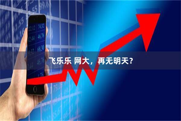 飞乐乐 网大，再无明天？