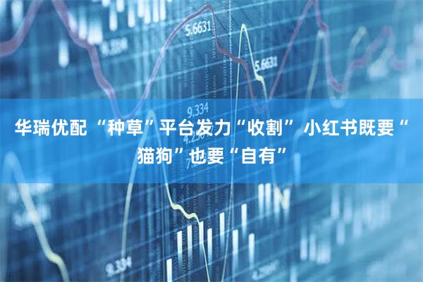 华瑞优配 “种草”平台发力“收割” 小红书既要“猫狗”也要“自有”