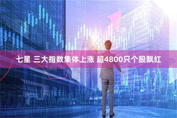 七星 三大指数集体上涨 超4800只个股飘红