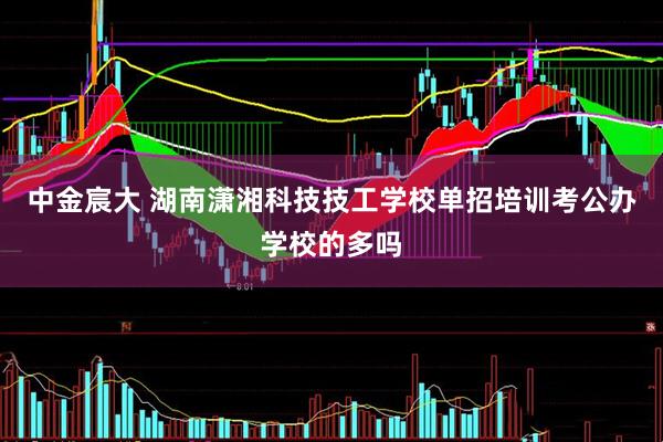 中金宸大 湖南潇湘科技技工学校单招培训考公办学校的多吗
