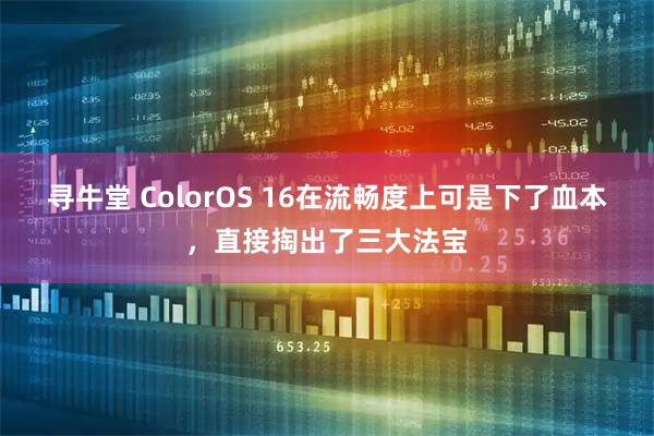 寻牛堂 ColorOS 16在流畅度上可是下了血本，直接掏出了三大法宝