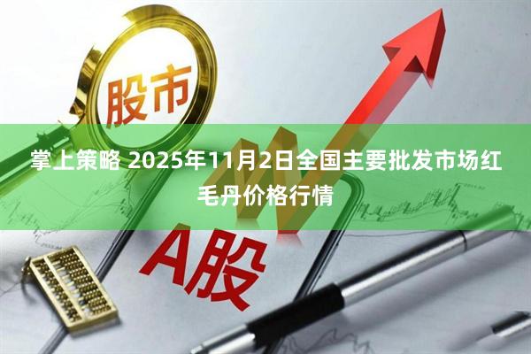 掌上策略 2025年11月2日全国主要批发市场红毛丹价格行情