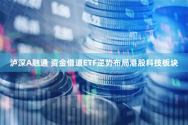 泸深A融通 资金借道ETF逆势布局港股科技板块
