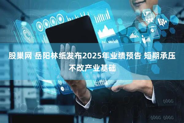 股巢网 岳阳林纸发布2025年业绩预告 短期承压不改产业基础